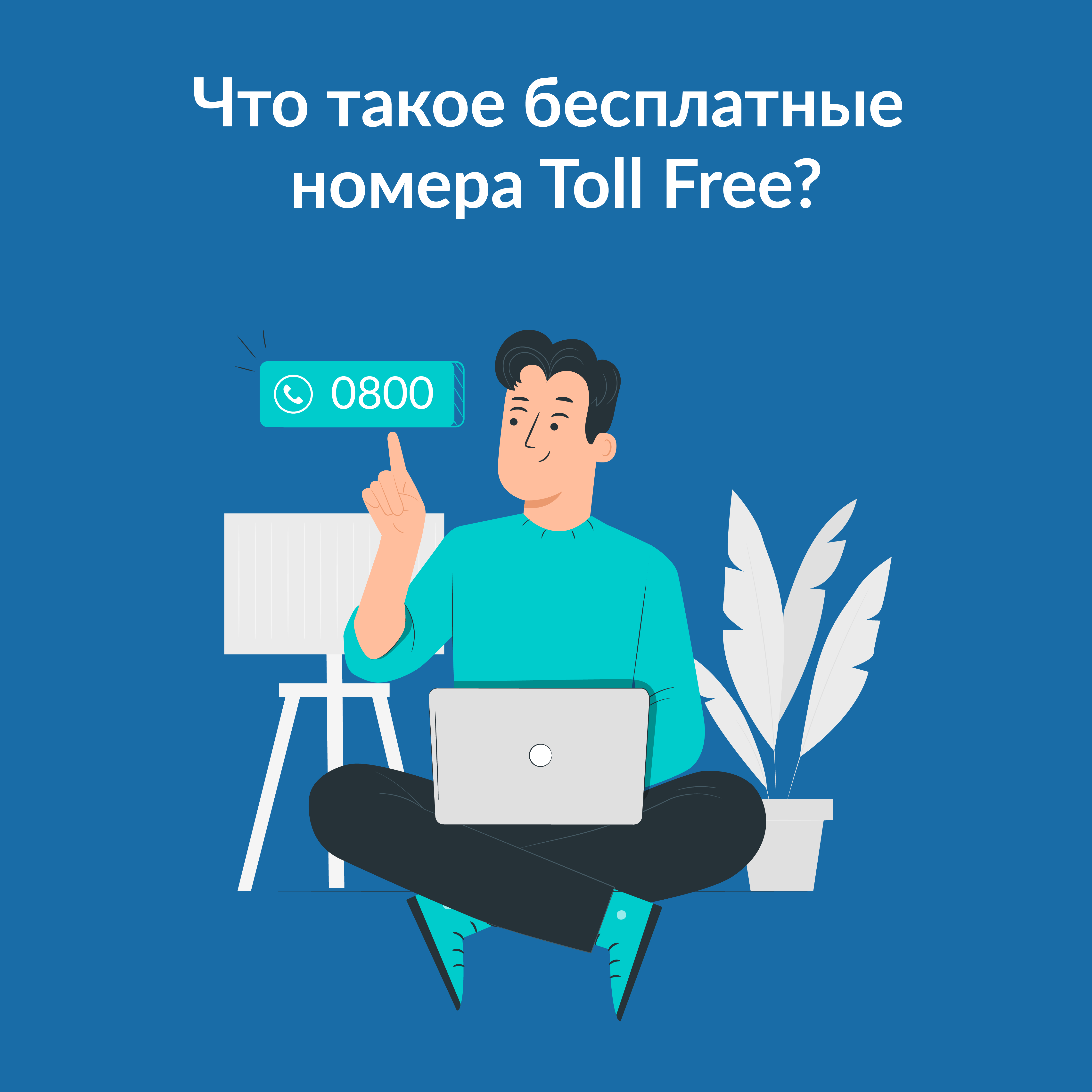 Что такое бесплатные номера Toll Free?